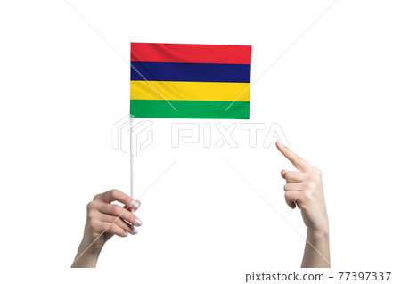 A beautiful female hand holds a Mauritius flag to which she shows the finger of her other hand, isolated on white background A beautiful female hand holds a Mauritius flag to which she shows the finger of her other hand, isolated on white background 77397337