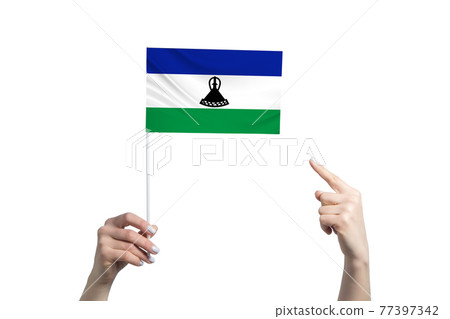 A beautiful female hand holds a Lesotho flag to which she shows the finger of her other hand, isolated on white background A beautiful female hand holds a Lesotho flag to which she shows the finger of her other hand, isolated on white background 77397342