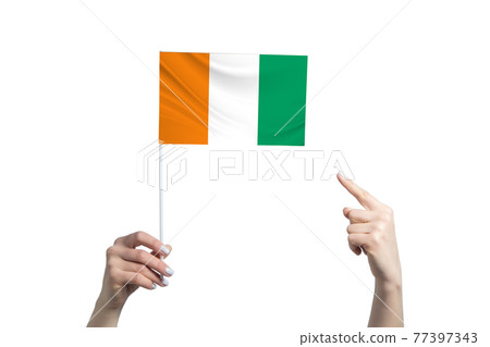 A beautiful female hand holds a Cote d'Ivoire flag to which she shows the finger of her other hand, isolated on white background A beautiful female hand holds a Cote d'Ivoire flag to which she shows the finger of her other hand, isolated on white background 77397343