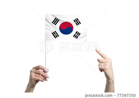 A beautiful female hand holds a South Korea flag to which she shows the finger of her other hand, isolated on white background A beautiful female hand holds a South Korea flag to which she shows the finger of her other hand, isolated on white background 77397350