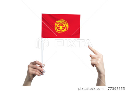 A beautiful female hand holds a Kyrgyzstan flag to which she shows the finger of her other hand, isolated on white background A beautiful female hand holds a Kyrgyzstan flag to which she shows the finger of her other hand, isolated on white background 77397355