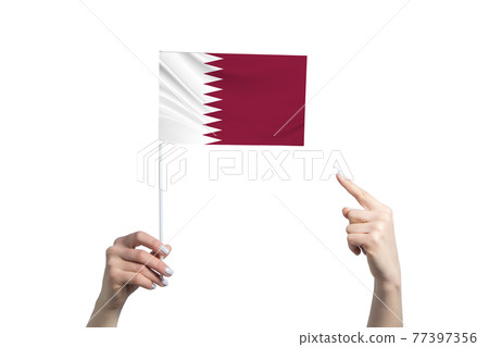A beautiful female hand holds a Qatar flag to which she shows the finger of her other hand, isolated on white background A beautiful female hand holds a Qatar flag to which she shows the finger of her other hand, isolated on white background 77397356