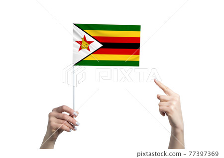A beautiful female hand holds a Zimbabwe flag to which she shows the finger of her other hand, isolated on white background A beautiful female hand holds a Zimbabwe flag to which she shows the finger of her other hand, isolated on white background 77397369