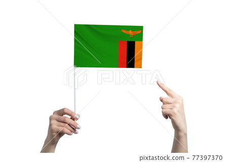 A beautiful female hand holds a Zambia flag to which she shows the finger of her other hand, isolated on white background 77397370