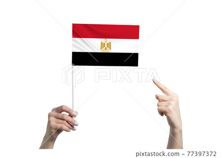 A beautiful female hand holds a Egypt flag to which she shows the finger of her other hand, isolated on white background A beautiful female hand holds a Egypt flag to which she shows the finger of her other hand, isolated on white background 77397372