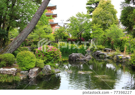 弘法大師,空海開山寺(池上山圓教寺),137(岐阜縣本棲區北形町) 弘法大師,空海開山寺(池上山圓教寺),137(岐阜縣本棲區北形町) 77398227