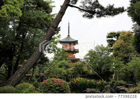 弘法大師,空海開山寺(池上山圓教寺),138(岐阜縣本棲區北形町) 弘法大師,空海開山寺(池上山圓教寺),138(岐阜縣本棲區北形町) 77398228