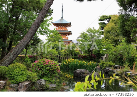 弘法大師，空海開山寺（池上山圓教寺），139（岐阜縣本棲區北形町） 77398230