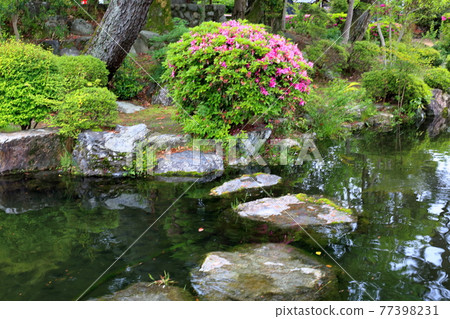 弘法大師，空海開山寺（池上山圓教寺），140（岐阜縣本棲區北形町） 77398231