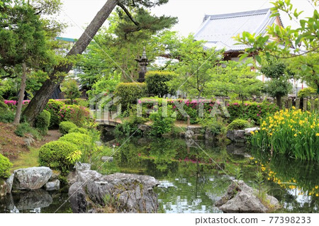 Kobo Daishi, Kukai Kaisan Temple (Ikegamiyama Enkyoji Temple), 142 (Kitagata Town, Motosu District, Gifu Prefecture) 77398233