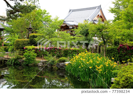 Kobo Daishi, Kukai Kaisan Temple (Ikegamiyama Enkyoji Temple), 143 (Kitagata Town, Motosu District, Gifu Prefecture) Kobo Daishi, Kukai Kaisan Temple (Ikegamiyama Enkyoji Temple), 143 (Kitagata Town, Motosu District, Gifu Prefecture) 77398234