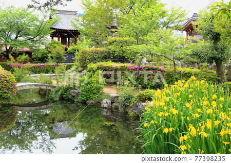 Kobo Daishi, Kukai Kaisan Temple (Ikegamiyama Enkyoji Temple), 144 (Kitagata Town, Motosu District, Gifu Prefecture) 77398235