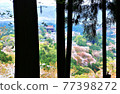Yoshino wild cherry tree, Kinpusen temple Zaodo 77398272