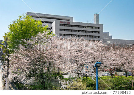 澀谷區惠比壽東京都立廣尾醫院 澀谷區惠比壽東京都立廣尾醫院 77398453