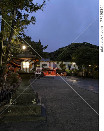 鎌倉鶴岡八幡宮燈飾 77398544