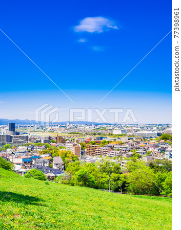 Vertical composition of a suburban residential area with a wide blue sky 77398961