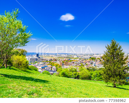 Suburban residential area with blue sky 77398962