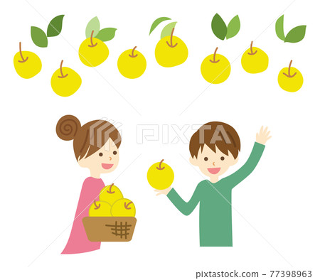 孩子們摘梨 孩子們摘梨 77398963