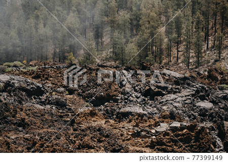 scenic photo in national park at Teide volcano in Tenerife, Spain Europe 77399149