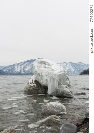unfrozen Lake Teletskoye in winter. Russia Altai Krai unfrozen Lake Teletskoye in winter. Russia Altai Krai 77400272