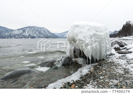 unfrozen Lake Teletskoye in winter. Russia Altai Krai unfrozen Lake Teletskoye in winter. Russia Altai Krai 77400274