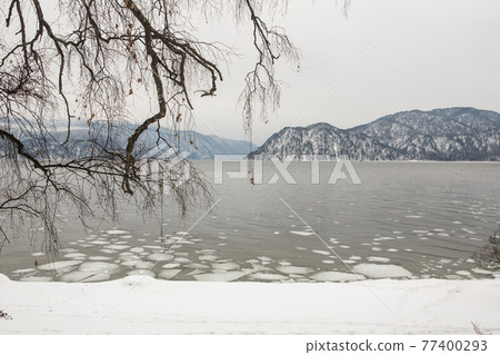 unfrozen Lake Teletskoye in winter. Russia Altai Krai unfrozen Lake Teletskoye in winter. Russia Altai Krai 77400293