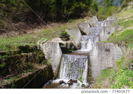 小谷村、信州、大別、日影澤的Sabo設施、階梯式地板固定工作組、防止垂直侵蝕和穩定河床的大壩 77401677