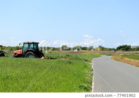 Okegawa City, Saitama Prefecture Rural scenery tractor rice planting 77401902