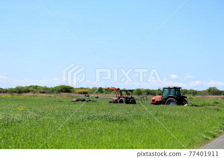 Okegawa City, Saitama Prefecture Rural scenery tractor rice planting 77401911