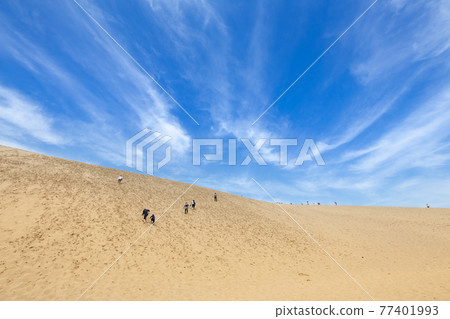 Tottori sand dunes Tottori sand dunes 77401993