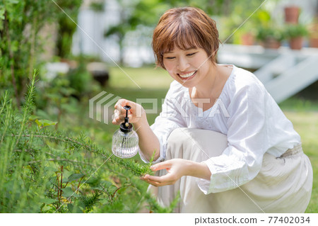 A young woman gardening who cares for plants in the garden A young woman gardening who cares for plants in the garden 77402034