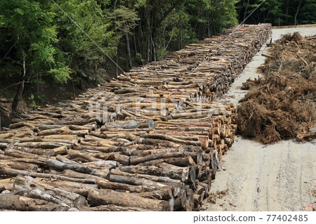 砍伐木材、砍伐木材、木材衝擊 77402485