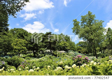 The Maizuru Nature and Cultural Park is full of nature 77402547