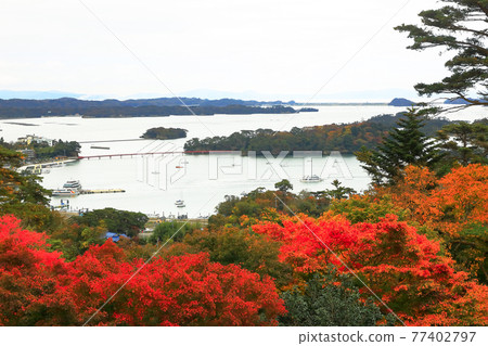 Matsushima's Three Views of Japan (Pine Tree Park on the West) Matsushima Town, Miyagi Prefecture Matsushima's Three Views of Japan (Pine Tree Park on the West) Matsushima Town, Miyagi Prefecture 77402797
