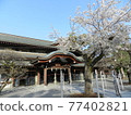 三島大社 77402821