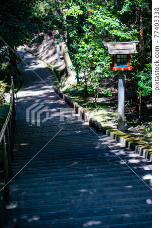 Mountain entrance 77403338