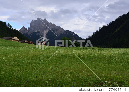 Lawn and Vallandro 77403344