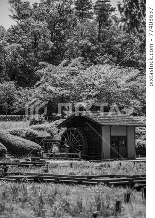 A small mountain with a water wheel 77403637