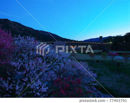 Japan's largest wooden bridge, Momosuke Bridge in Nagiso Town 77403791