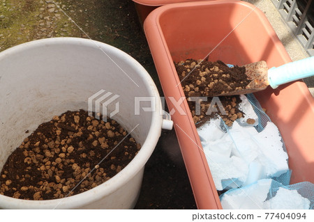 用自製菜土進行種植 77404094