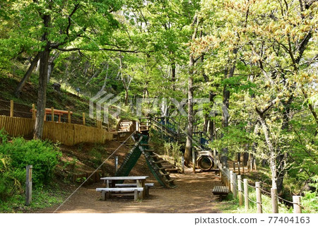 Kanagawa Prefectural Nanasawa Forest Park Athletic Square Fresh Green and Playset Kanagawa Prefectural Nanasawa Forest Park Athletic Square Fresh Green and Playset 77404163