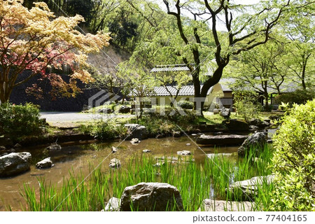 Kanagawa Prefectural Nanasawa Forest Park Pond and fresh greenery at Seseragi Square 77404165