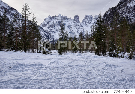 Snowy group Snowy group 77404440