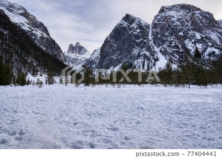 Cold valley Cold valley 77404441