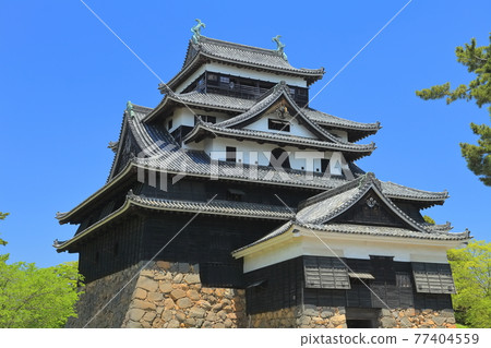 [島根縣]晴空下的松江城天守閣（國寶） 77404559