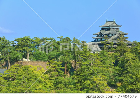 [Shimane Prefecture] Matsue Castle castle tower under clear skies (national treasure) 77404579