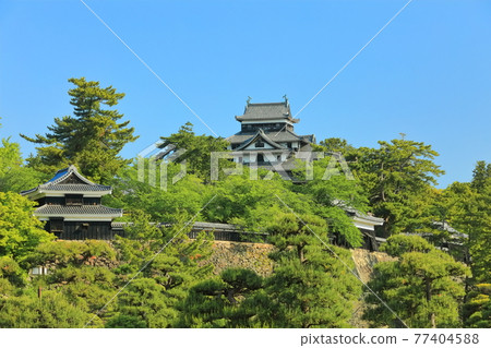 [島根縣] 晴空下的松江城天守閣和南角樓（國寶） 77404588