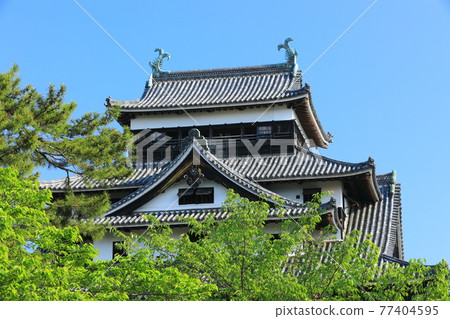 [Shimane Prefecture] Matsue Castle castle tower under clear skies (national treasure) 77404595