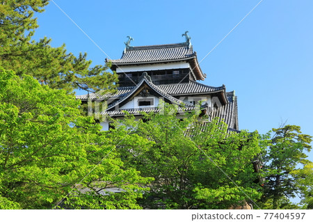 [Shimane Prefecture] Matsue Castle castle tower under clear skies (national treasure) 77404597