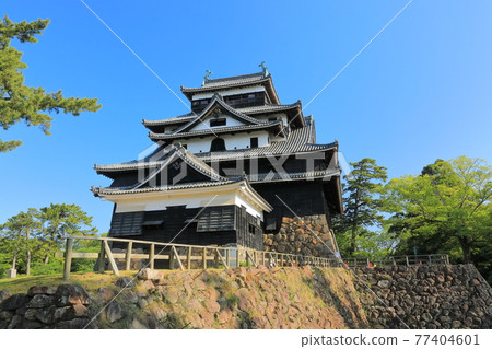 [島根縣]晴空下的松江城天守閣（國寶） 77404601